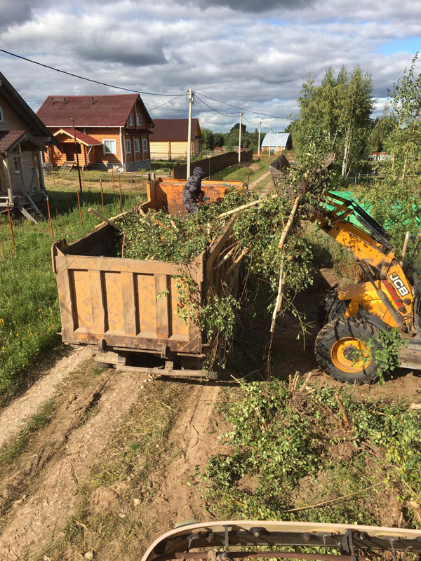 спил деревьев