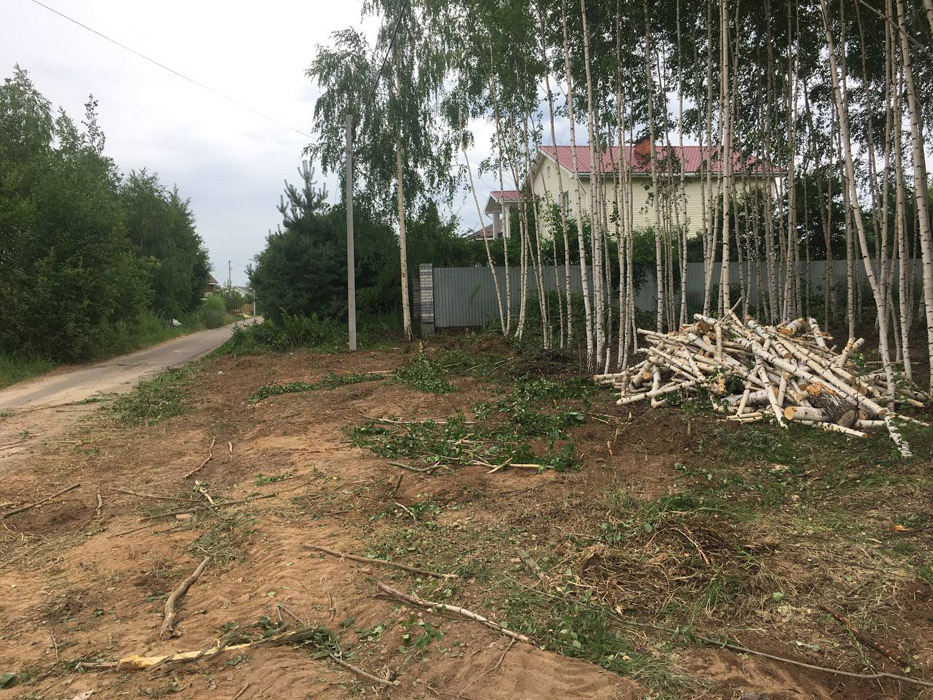 Расчистка участка, разряжевание леса, поселок Буревестник, Богородский район, июль 2022г