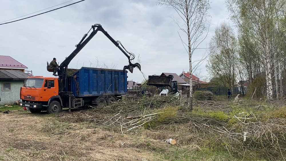Расчистка участка и спил деревьев, поселок Буревестник, Богородский район, апрель 2023г